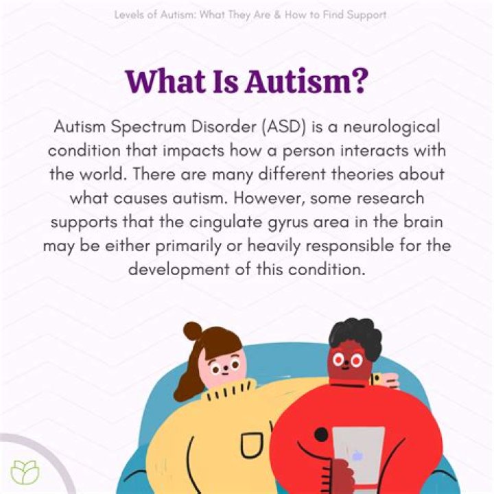 Does Nardwuar Have Autism? Everything To Know