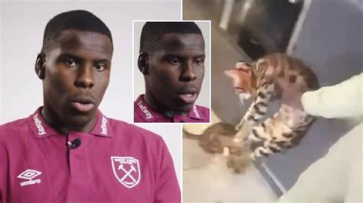
Kurt Zouma Cat Video On Twitter- No, He Is Not Arrested For Animal Abuse! 