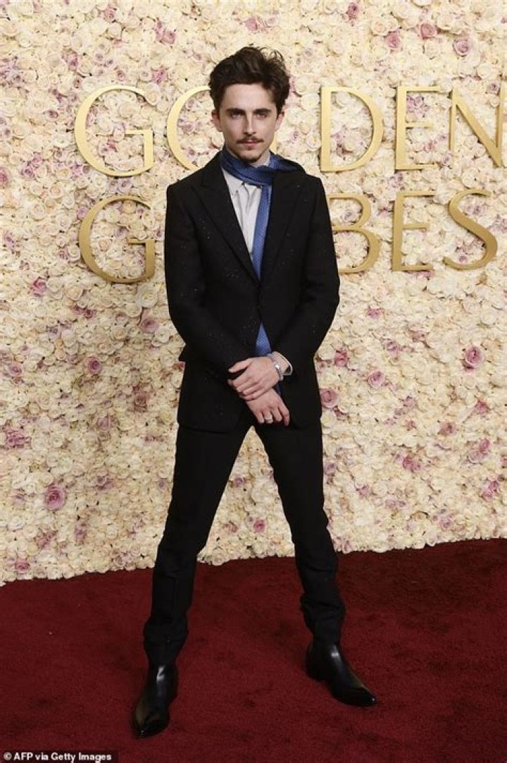 Timothée Chalamet Height, Age, Boyfriend, Biography, Wiki, Net Worth