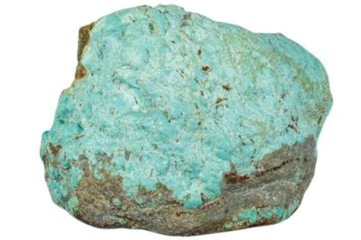 Turquoise Miami Age, Birthday, Wikipedia, Who, Nationality, Biography